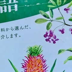 【新品】2022年 カレンダーの画像