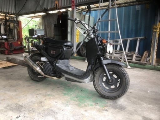 ホンダ　　ズーマー