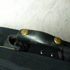 エディバウアー ガーメントバッグ 中古品の画像