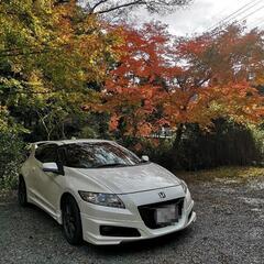 ホンダCR-Z α 6速MTの画像