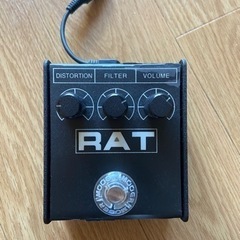 proco rat