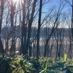 原野をキャンプ地として利用しませんか？ - 旭川市
