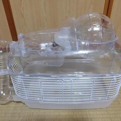 ハムスター用ケージ新品