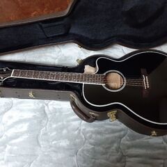 タカミネ ギター