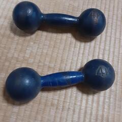 鉄アレイ4kg×2　&　ダンベル10kg