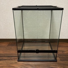 レインフォレストタンクM