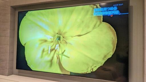 【美品】85インチ液晶テレビ