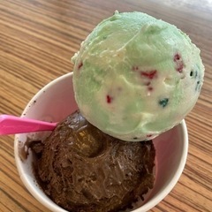 ダイエット仲間募集　女性限定