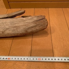 流木、【華道】【茶道】【芸術】の画像