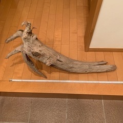 流木、【華道】【茶道】【芸術】の画像