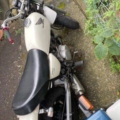 Ape50 原付の画像