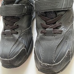 瞬足　20cmの画像