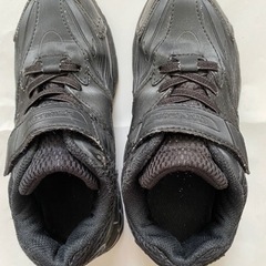瞬足　20cmの画像
