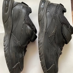 瞬足　20cmの画像