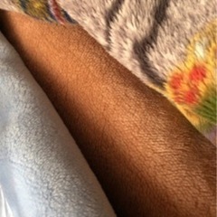 2枚以上から値引　西川など　毛布　タグ付き　クリーニング済　未使用に近い　薄め　厚め　良いものは先になくなります　他にもありの画像