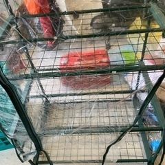 簡易ビニールハウス