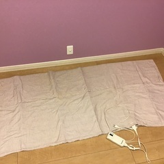 ラッキーさんに決まりました。　電気ホット敷き毛布　ホットカーペット