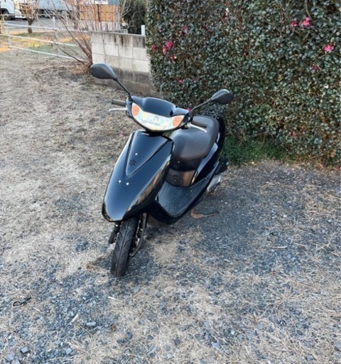 のら ロドリリオン ナンバリングT トリックスター / Ninja ZX-4RR