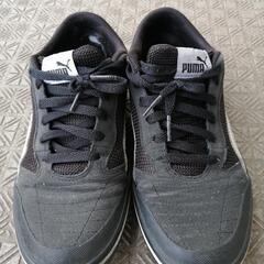 プーマ PUMA スニーカー アストロ サラ