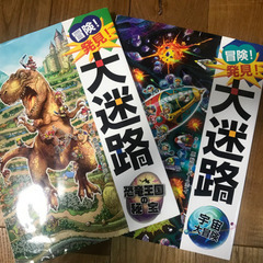 大迷路本の画像