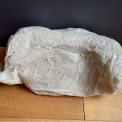 五百川　千葉県産　10kg