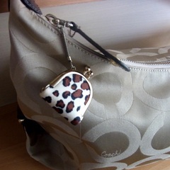 COACHバッグの画像