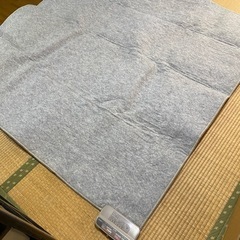 ホットカーペット 2畳 ラグ マット 動作確認済