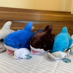 ふかふかサメ、イルカ