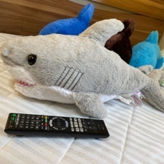 ふかふかサメ、イルカの画像