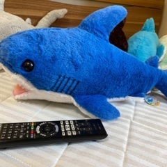 ふかふかサメ、イルカの画像