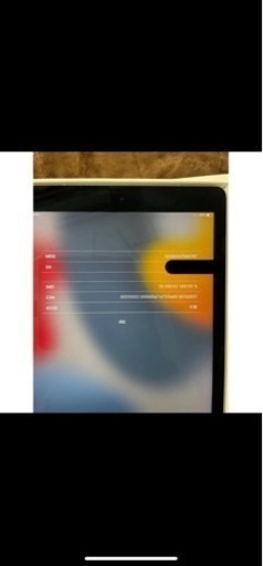 iPad Pro 9.7 32g Wi-Fi＋cellular Pencil