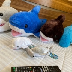 ふかふかサメ、イルカの画像