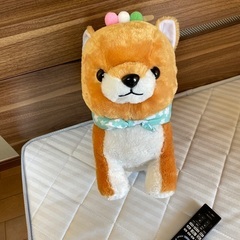 豆柴ぬいぐるみ