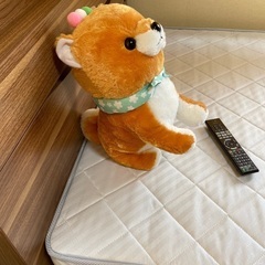 豆柴ぬいぐるみの画像