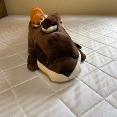 ぬいぐるみ、カワウソくんの画像