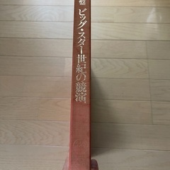 レコード　ビクター　ビックスター世紀の競演の画像
