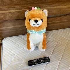 豆柴のぬいぐるみ
