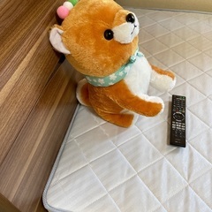 豆柴のぬいぐるみの画像