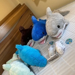 サメとイルカのぬいぐるみ