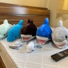 サメとイルカのぬいぐるみの画像