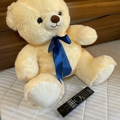 クマのぬいぐるみの画像