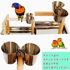 鳥とまり木の画像