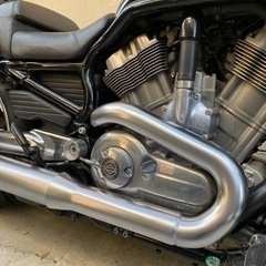 ハーレーVRSCF  V-RODマッスル（1250cc）の画像