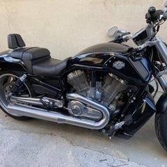 ハーレーVRSCF  V-RODマッスル（1250cc）