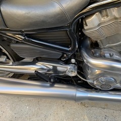 ハーレーVRSCF  V-RODマッスル（1250cc）の画像