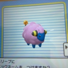 ✨ポケモン/オプチャメンバー募集中です✨