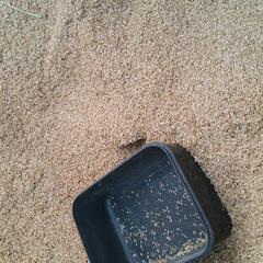 🌾籾殻　もみがら　配達可　家庭菜園　野菜作り　保温　園芸　お正月　クリスマスセールの画像