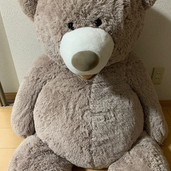 コストコのくまのぬいぐるみ