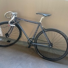 FUJI feather 