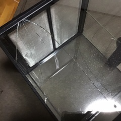 爬虫類 グラステラリウム3030 訳あり品 ジャンク品の画像